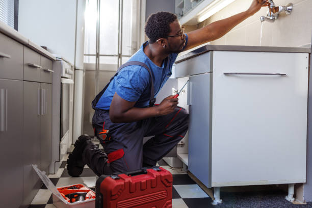 Best Leak Detection Services  in Portland, MI